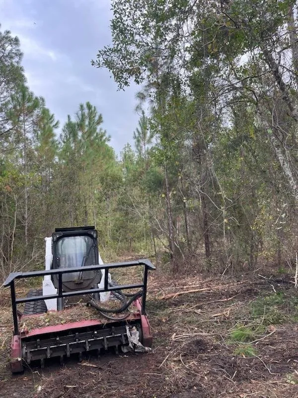 Reliable landscape installation in Bunnell, FL - Ames Excavating and Landscaping