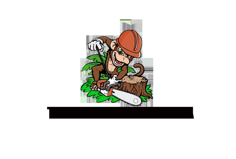 Professional yard cleanup service in Bunnell, FL by Ames Excavating and Landscaping
