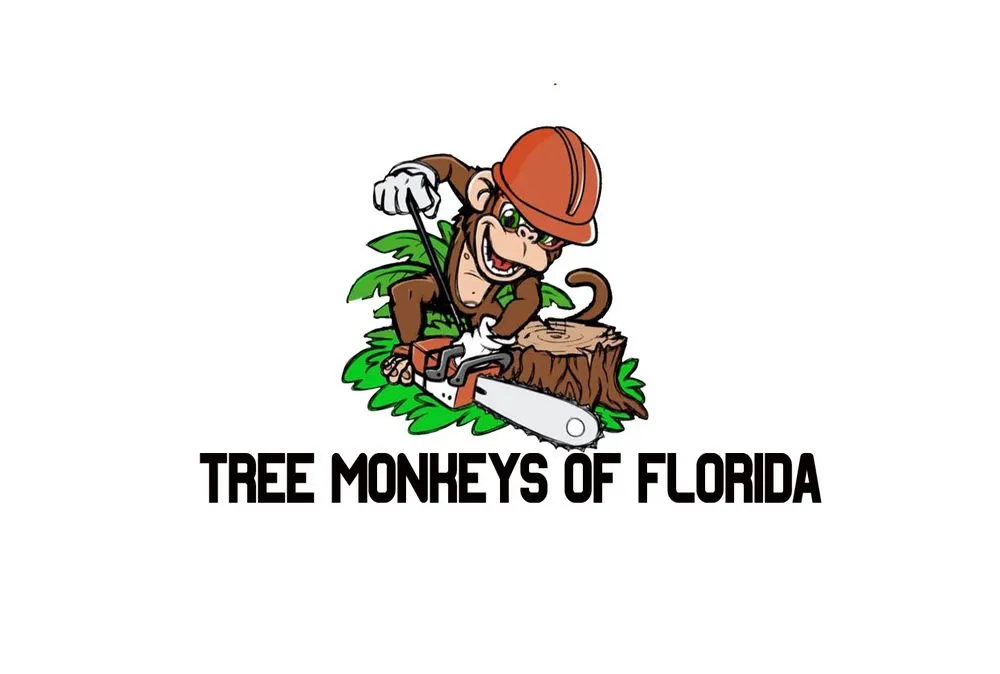 Reliable yard cleanup service in Bunnell, FL - Ames Excavating and Landscaping