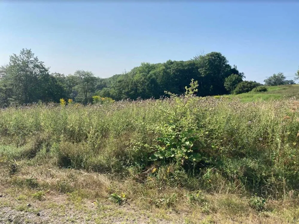 Professional garden landscaping experts serving Rockport, ME - Ames Landscaping