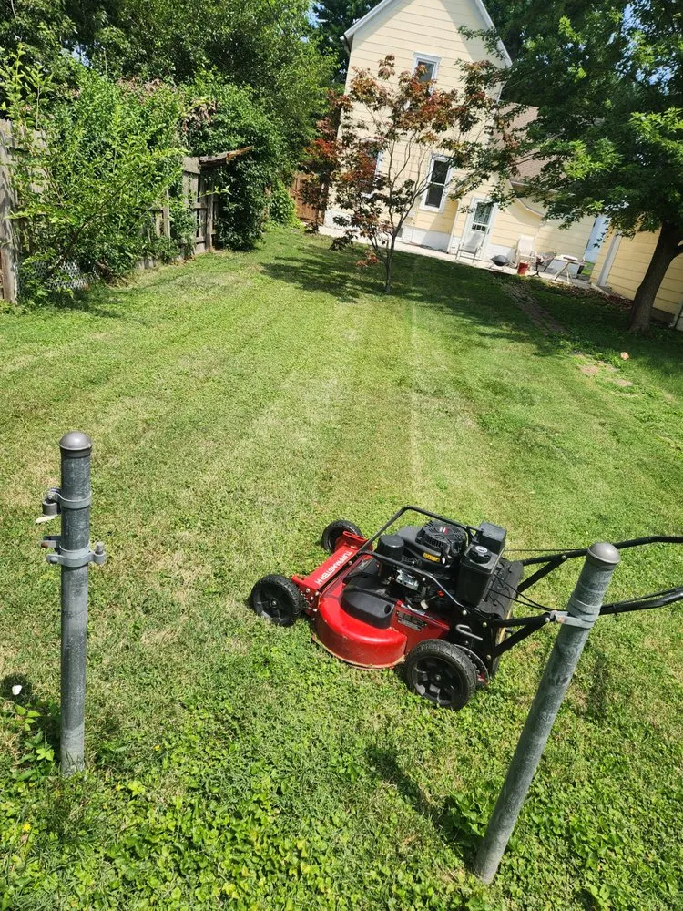 Reliable landscape installation in Springfield, IL by Amethyst Moon