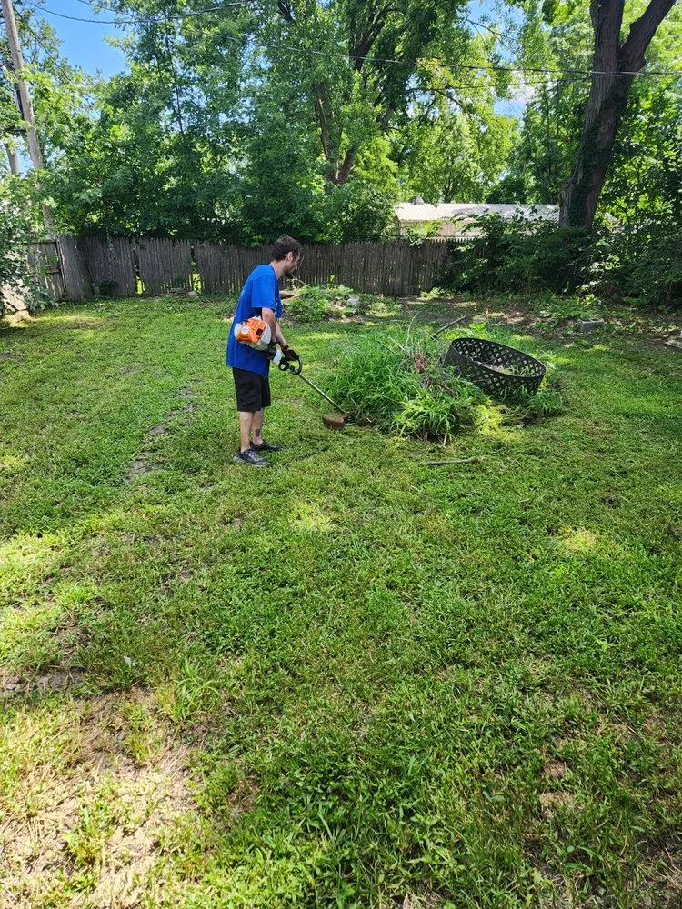 Professional lawn mowing service experts serving Springfield, IL - Amethyst Moon