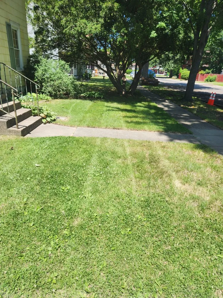 Custom yard cleanup service experts serving Springfield, IL - Amethyst Moon