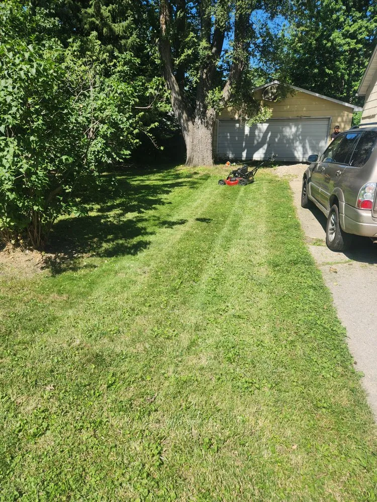 Affordable garden landscaping experts serving Springfield, IL - Amethyst Moon