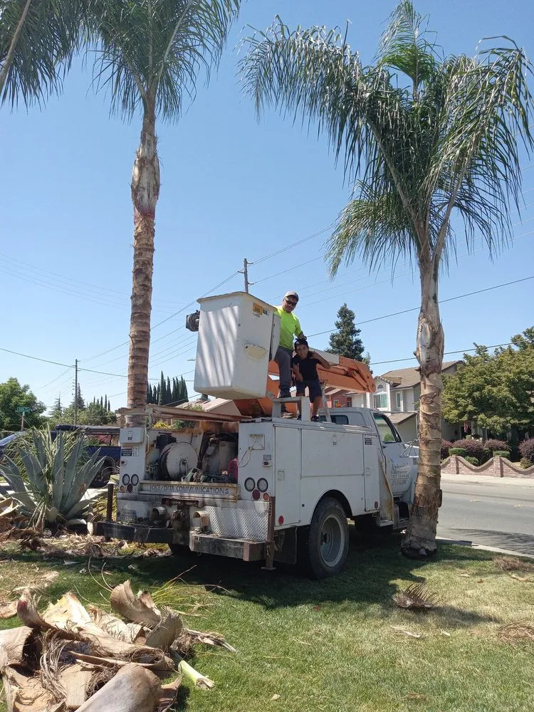 Affordable residential landscaping experts serving Modesto, CA - Amezcuas Tree and Landscaping Services