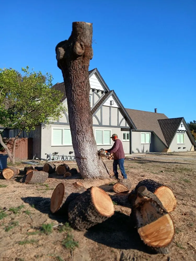 Trusted landscaping services in Modesto, CA by Amezcuas Tree and Landscaping Services