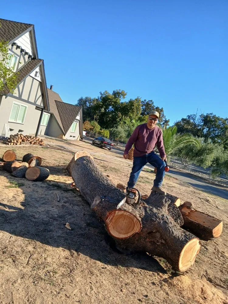 Top-rated residential landscaping in Modesto, CA - Amezcuas Tree and Landscaping Services