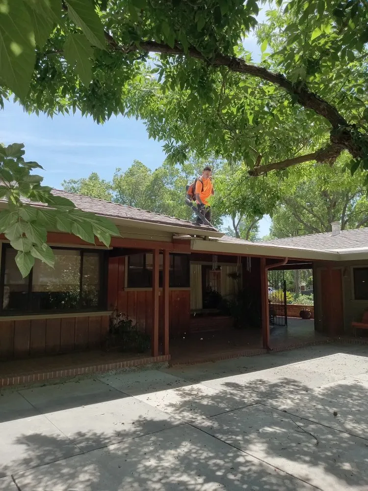 Affordable yard maintenance in Modesto, CA - Amezcuas Tree and Landscaping Services