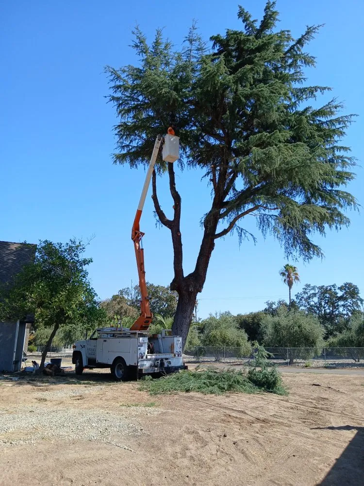 Expert lawn mowing service in Modesto, CA - Amezcuas Tree and Landscaping Services