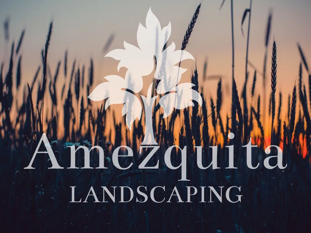 Affordable outdoor landscaping for outdoor upgrades across Roselle, IL - Amezquita Landscaping