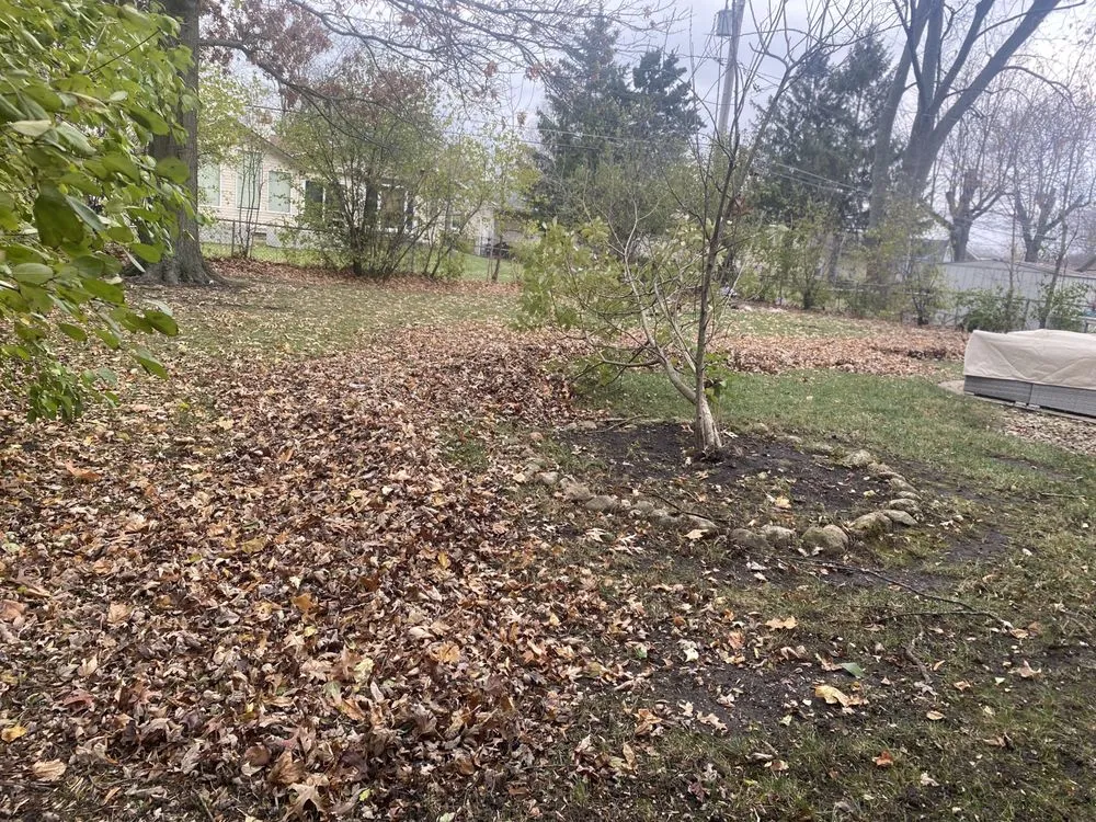 Professional lawn mowing service with custom design in Roselle, IL by Amezquita Landscaping