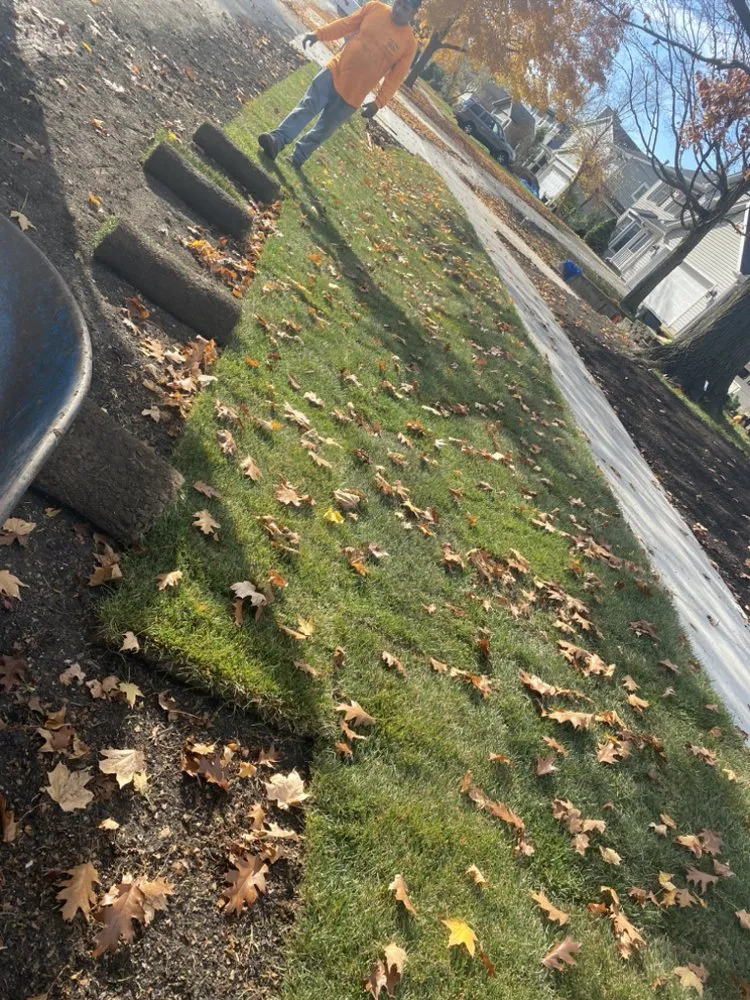 Reliable garden landscaping experts serving Roselle, IL - Amezquita Landscaping