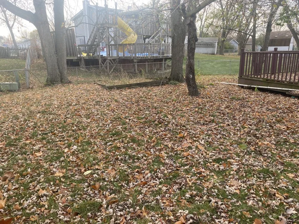 Professional landscape installation experts serving Roselle, IL - Amezquita Landscaping