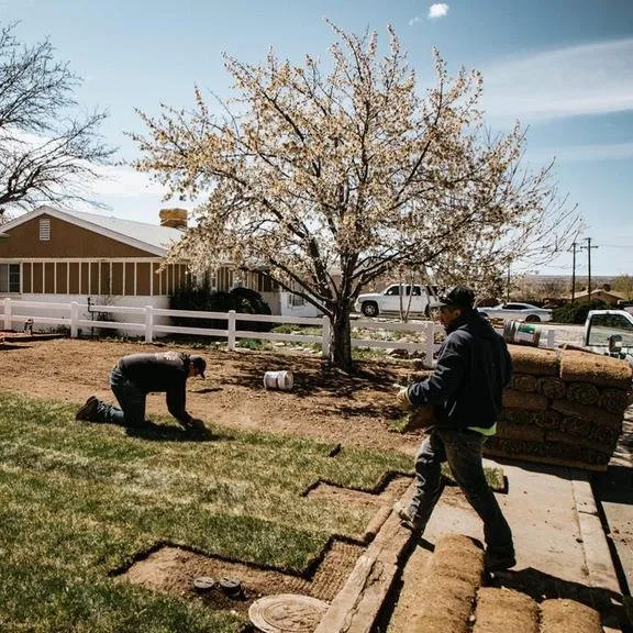 Reliable landscaping services with custom design across Farmington, NM - AMF