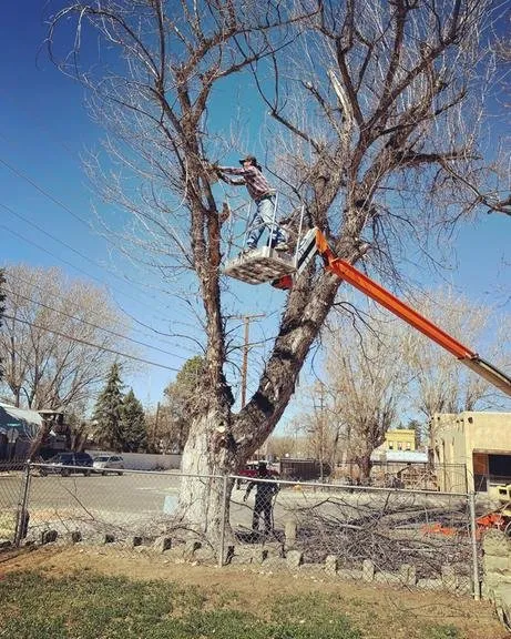 Affordable garden landscaping in Farmington, NM by AMF
