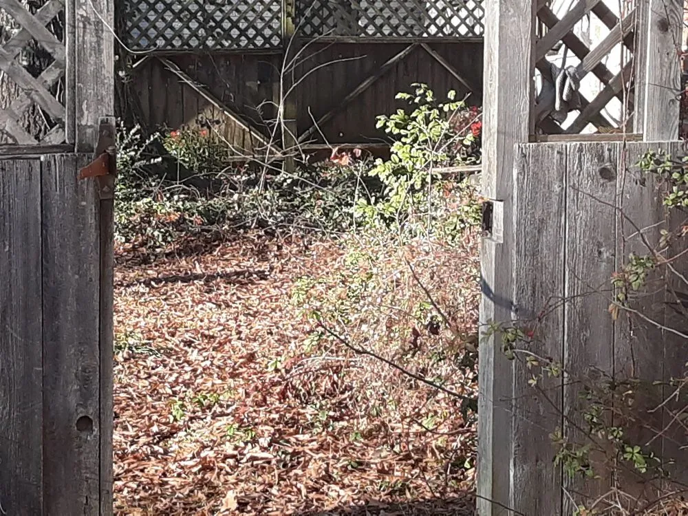 Top-rated lawn care service for outdoor upgrades in Mac Ray, AR by AMF Lawn Care