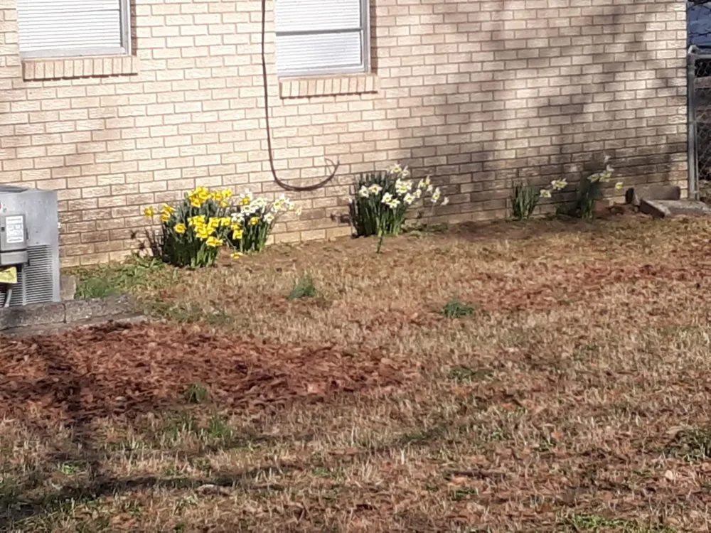Top-rated landscape installation for year-round maintenance across Mac Ray, AR - AMF Lawn Care