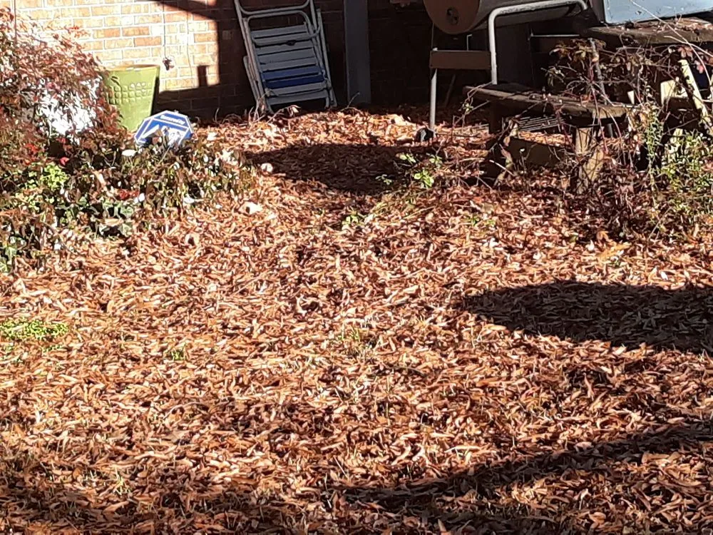 Reliable residential landscaping experts serving Mac Ray, AR - AMF Lawn Care