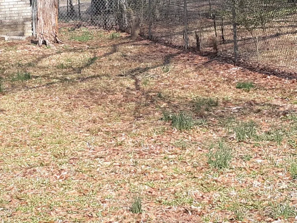 Custom landscaping services for outdoor upgrades across Mac Ray, AR - AMF Lawn Care