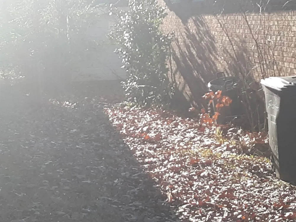 Top-rated garden landscaping for beautiful yards across Mac Ray, AR - AMF Lawn Care