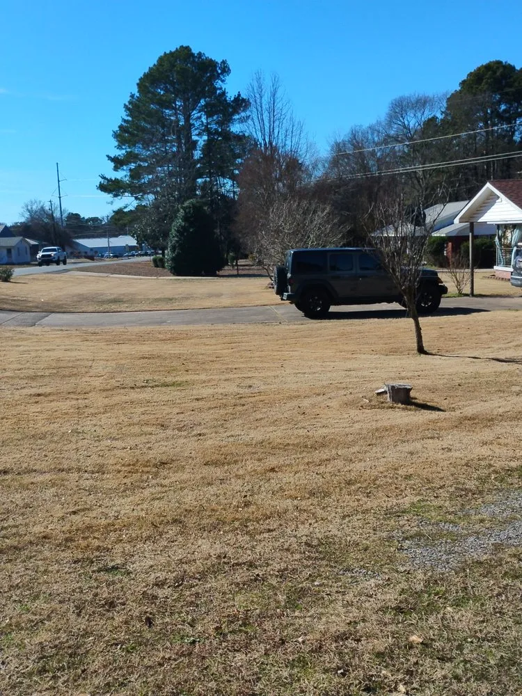Affordable yard cleanup service for year-round maintenance across Mac Ray, AR - AMF Lawn Care