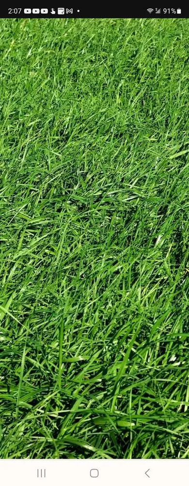 Reliable outdoor landscaping with custom design in Milton, FL by Amflorenda Lawn Care