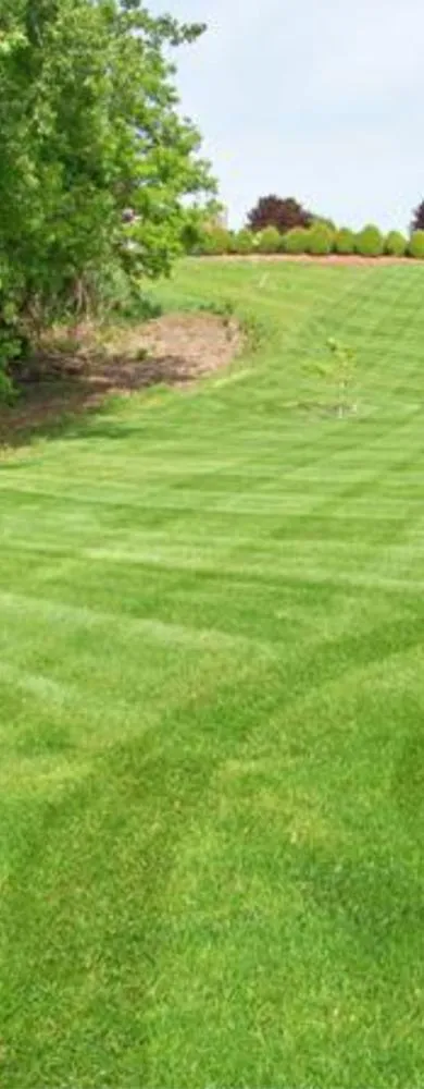 Affordable landscape installation in Milton, FL - Amflorenda Lawn Care