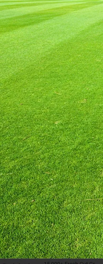 Reliable outdoor landscaping near you across Milton, FL - Amflorenda Lawn Care