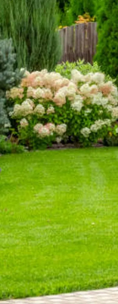 Custom yard maintenance in Milton, FL by Amflorenda Lawn Care