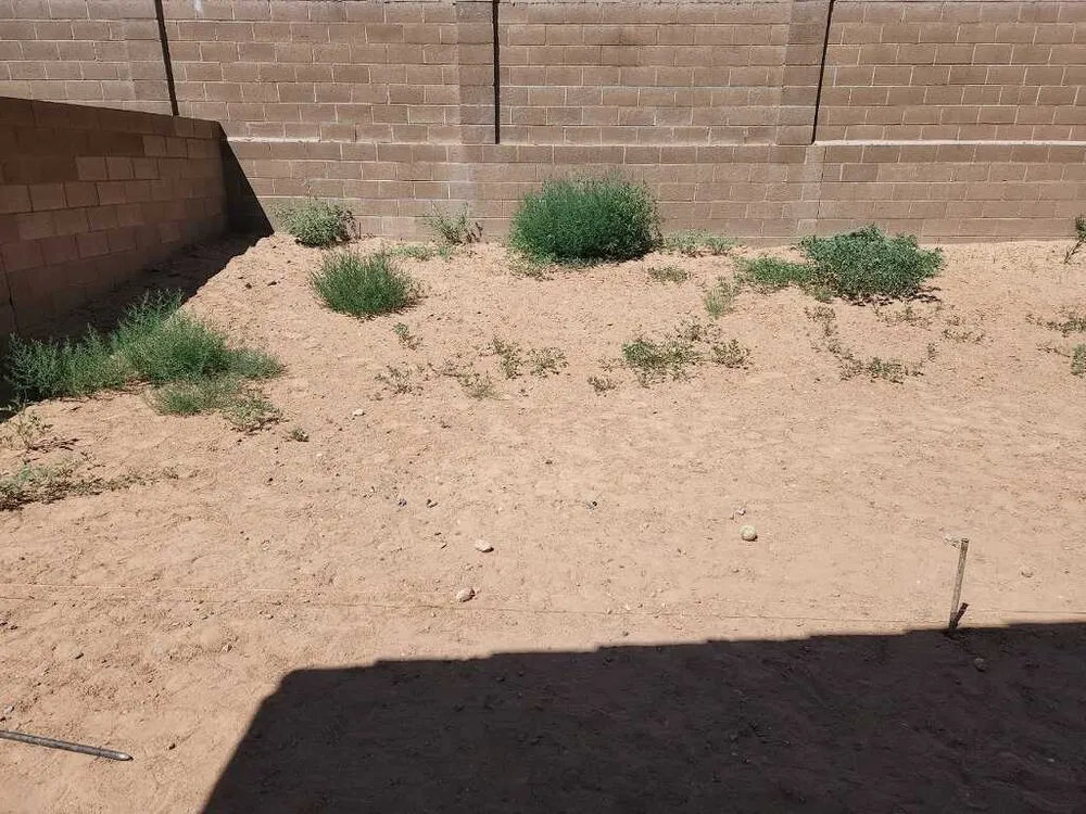 Custom landscape design in Albuquerque, NM - AMG Landscape