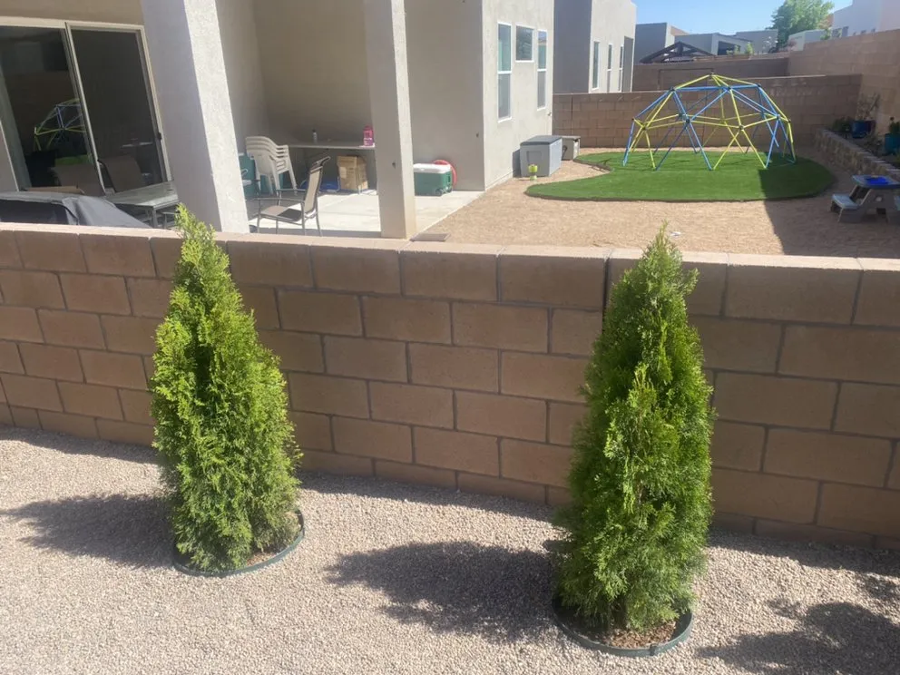 Local yard maintenance experts serving Albuquerque, NM - AMG Landscape