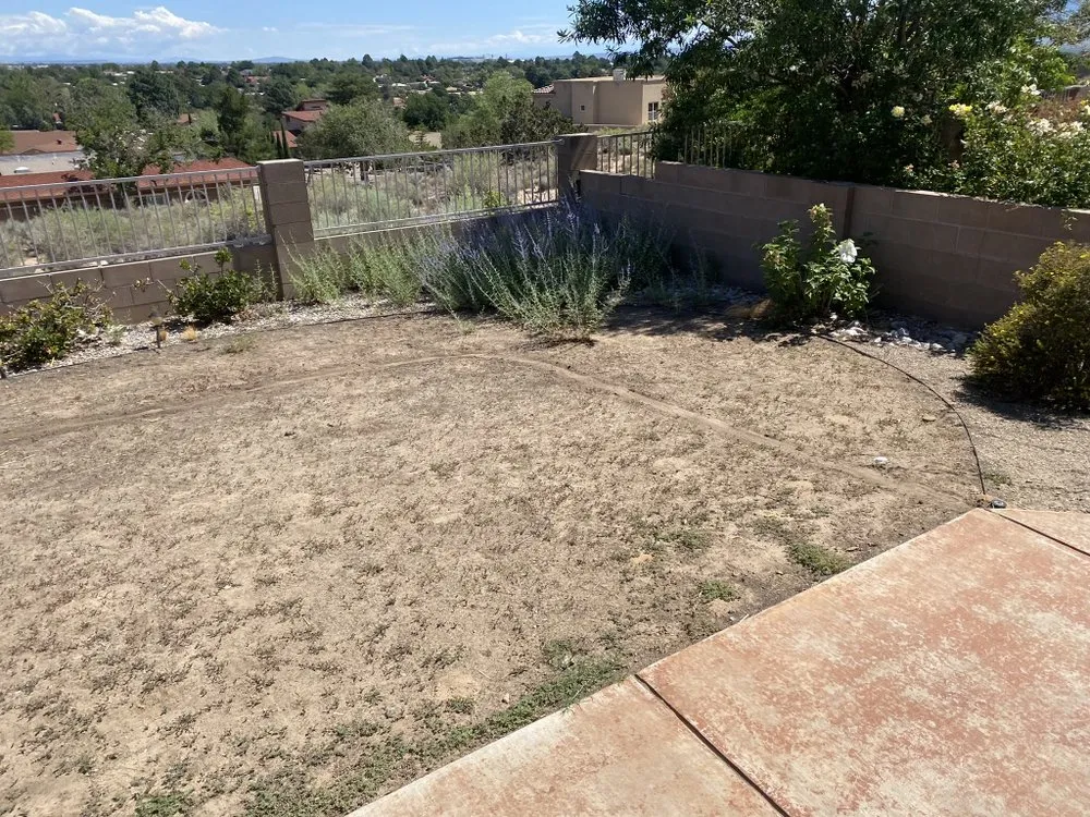 Professional garden landscaping for outdoor upgrades across Albuquerque, NM - AMG Landscape
