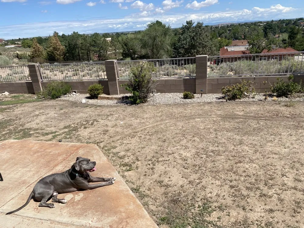 Reliable yard cleanup service for residential properties in Albuquerque, NM by AMG Landscape