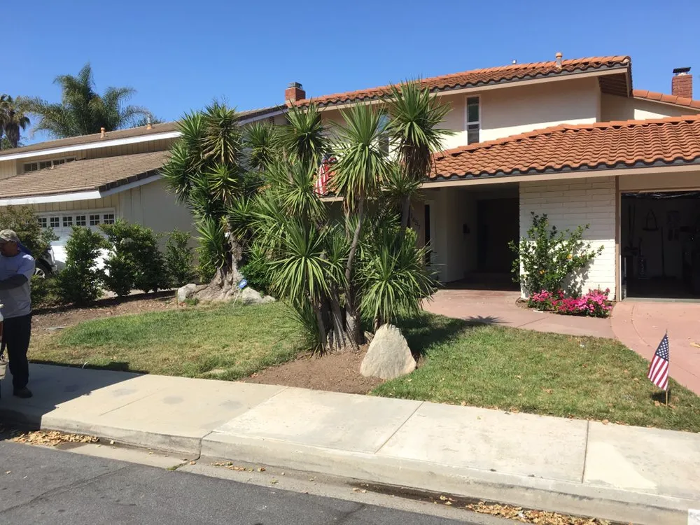 Top-rated landscape installation in Thousand Oaks, CA - AMG Landscaping and Tree Care