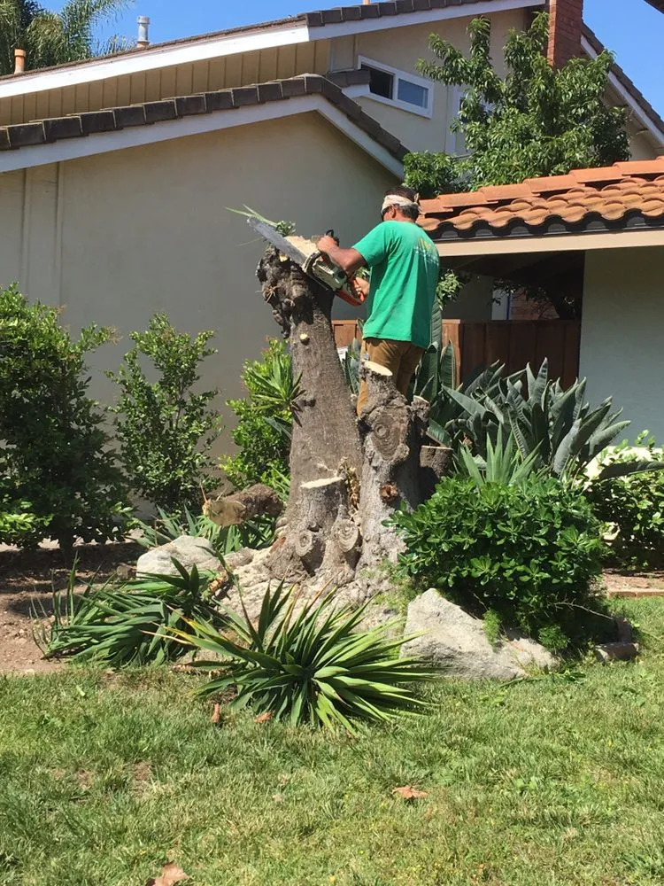 Expert outdoor landscaping in Thousand Oaks, CA - AMG Landscaping and Tree Care