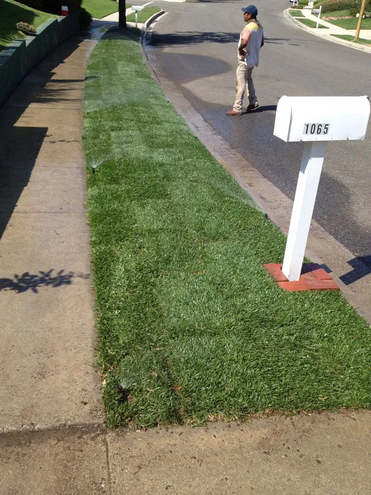 Top-rated garden landscaping in Thousand Oaks, CA by AMG Landscaping and Tree Care