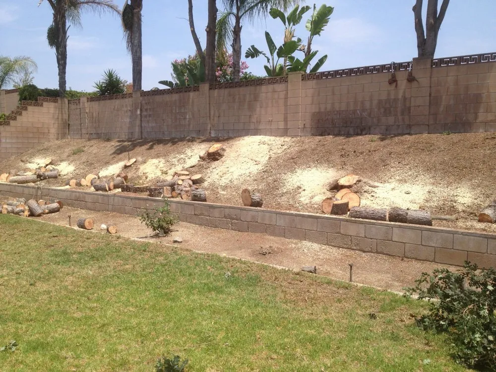 Reliable landscape installation for beautiful yards across Thousand Oaks, CA - AMG Landscaping and Tree Care