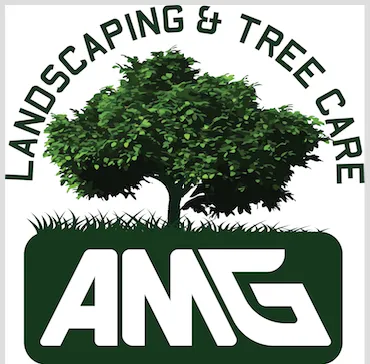 Expert lawn care service in Thousand Oaks, CA by AMG Landscaping and Tree Care