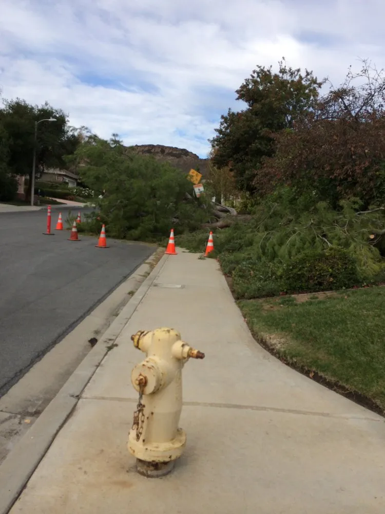 Local landscape design for outdoor upgrades in Thousand Oaks, CA by AMG Landscaping and Tree Care
