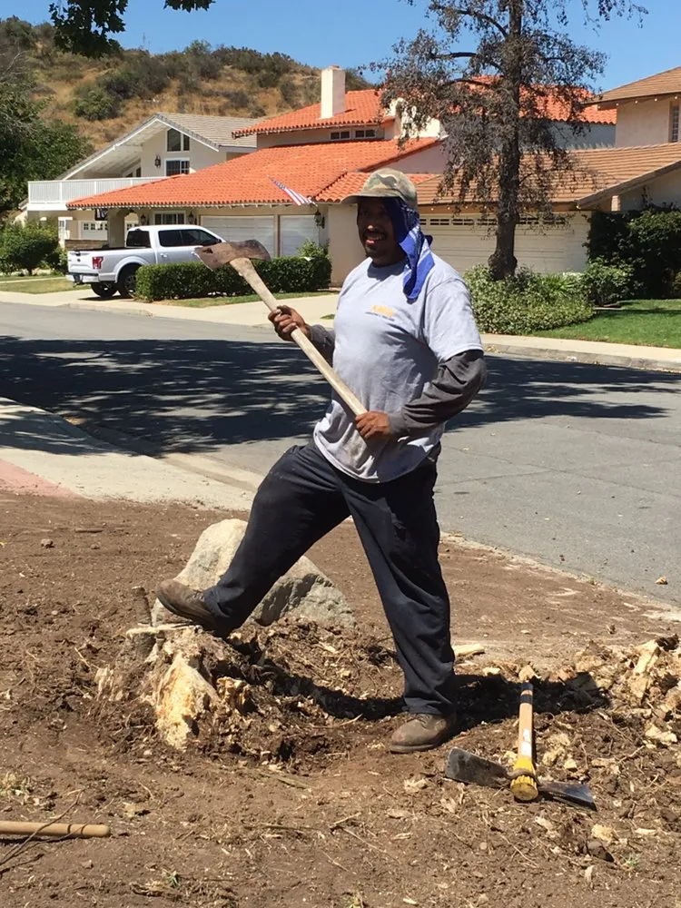Top-rated outdoor landscaping with custom design in Thousand Oaks, CA by AMG Landscaping and Tree Care