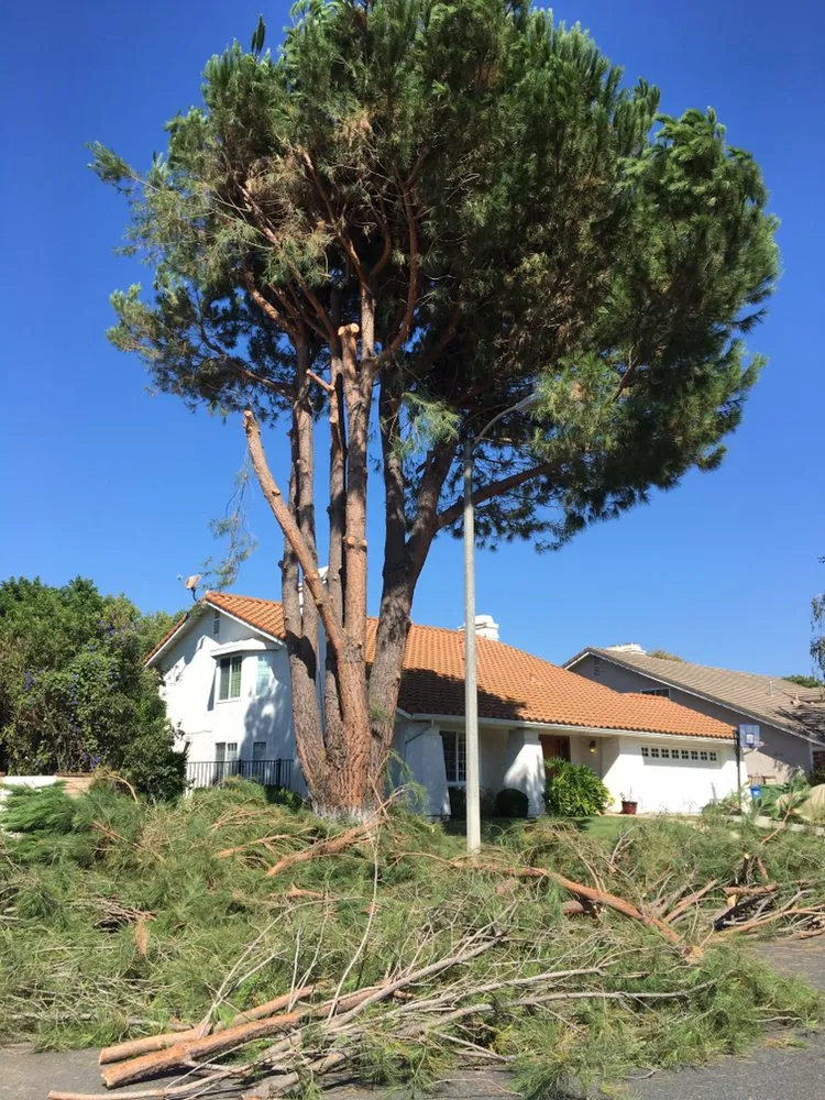 Top-rated lawn care service experts serving Thousand Oaks, CA - AMG Landscaping and Tree Care