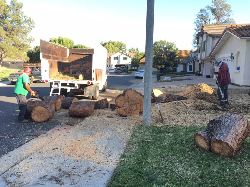 Professional lawn care service in Thousand Oaks, CA by AMG Landscaping and Tree Care