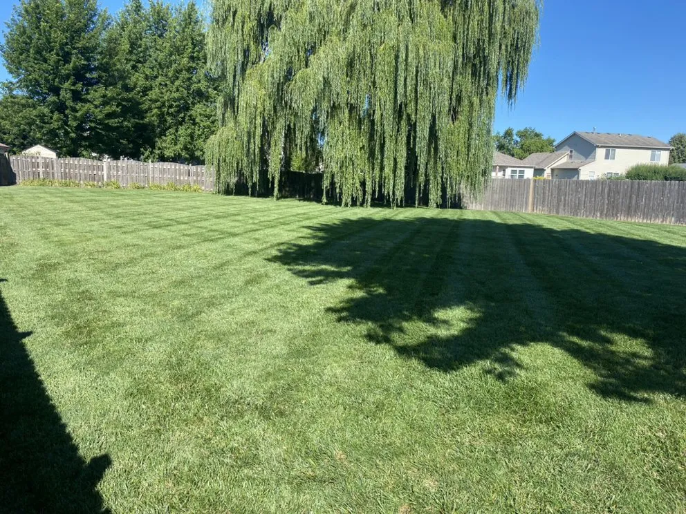 Custom yard maintenance for residential properties across Mundelein, IL - Amg Landscaping Services