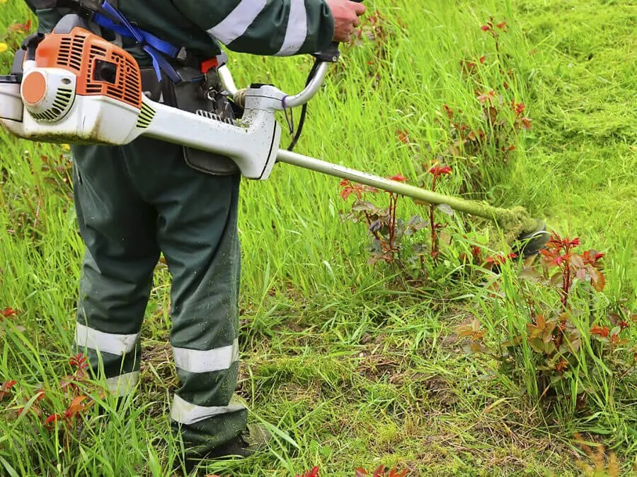 Trusted garden landscaping experts serving Greensboro, NC - Amg Lawn Care & Landscape