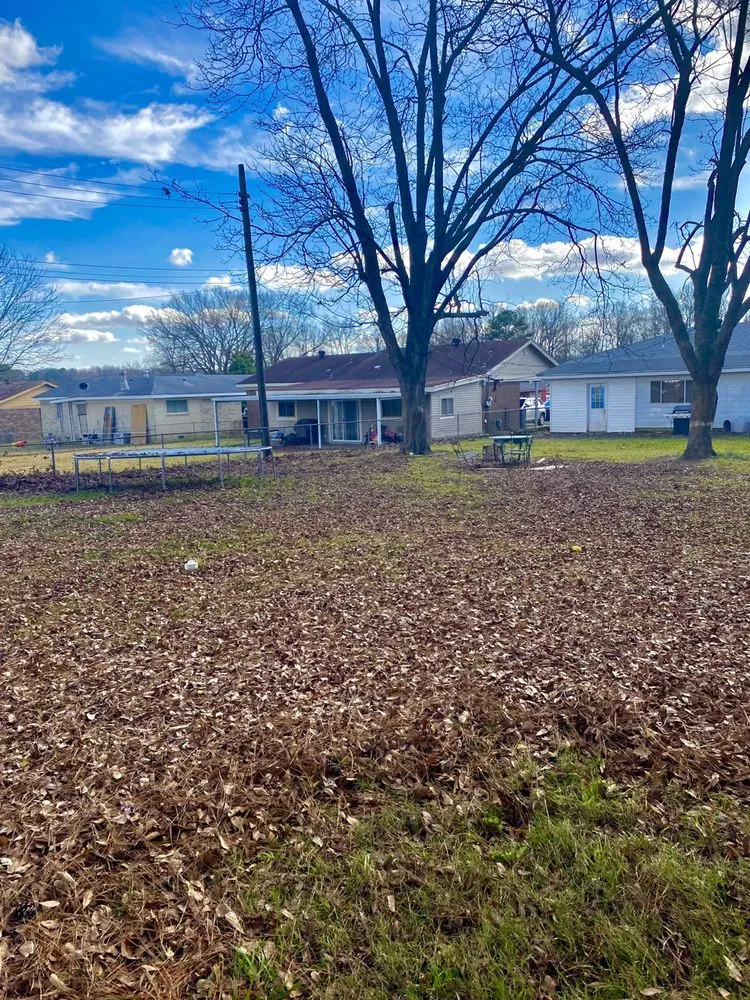 Reliable yard maintenance experts serving Jacksonville, AR - AMG Lawn Care & Landscaping