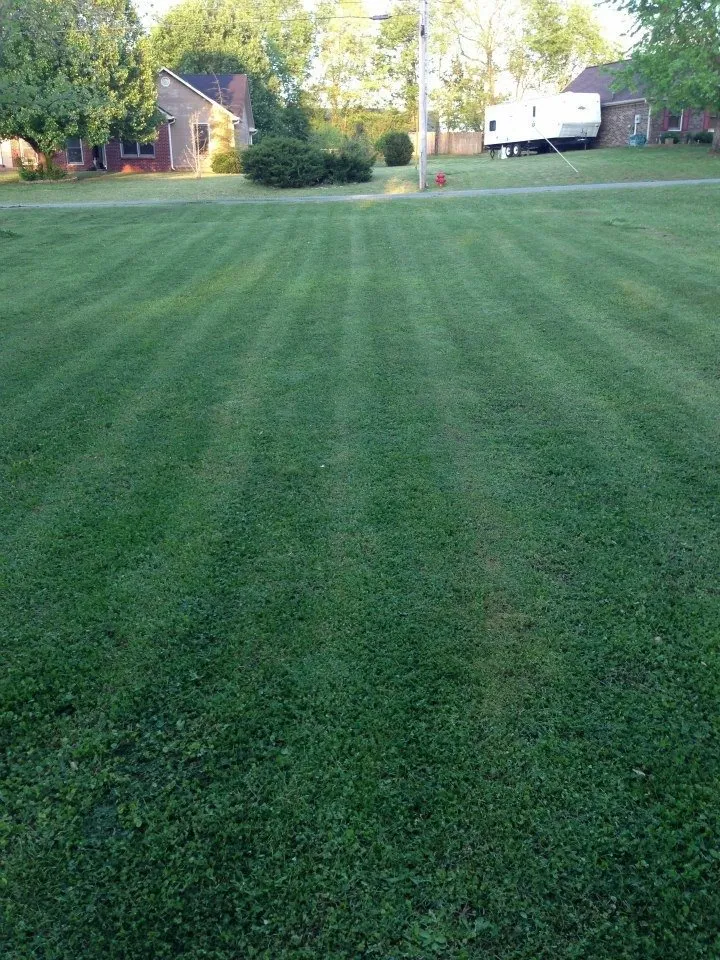 Top-rated lawn care service in Huntsville, AL by AMG Lawncare and Landscaping