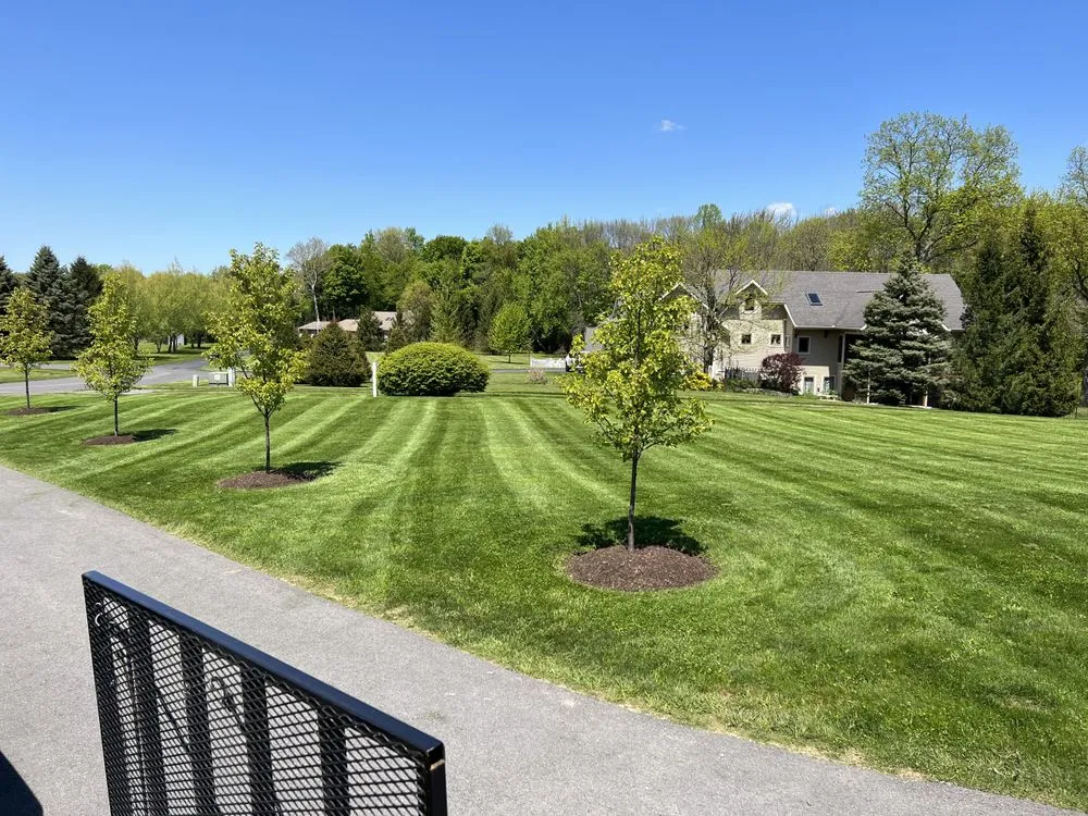 Top-rated landscaping services for residential properties in Auburn, NY by AMG Mowing
