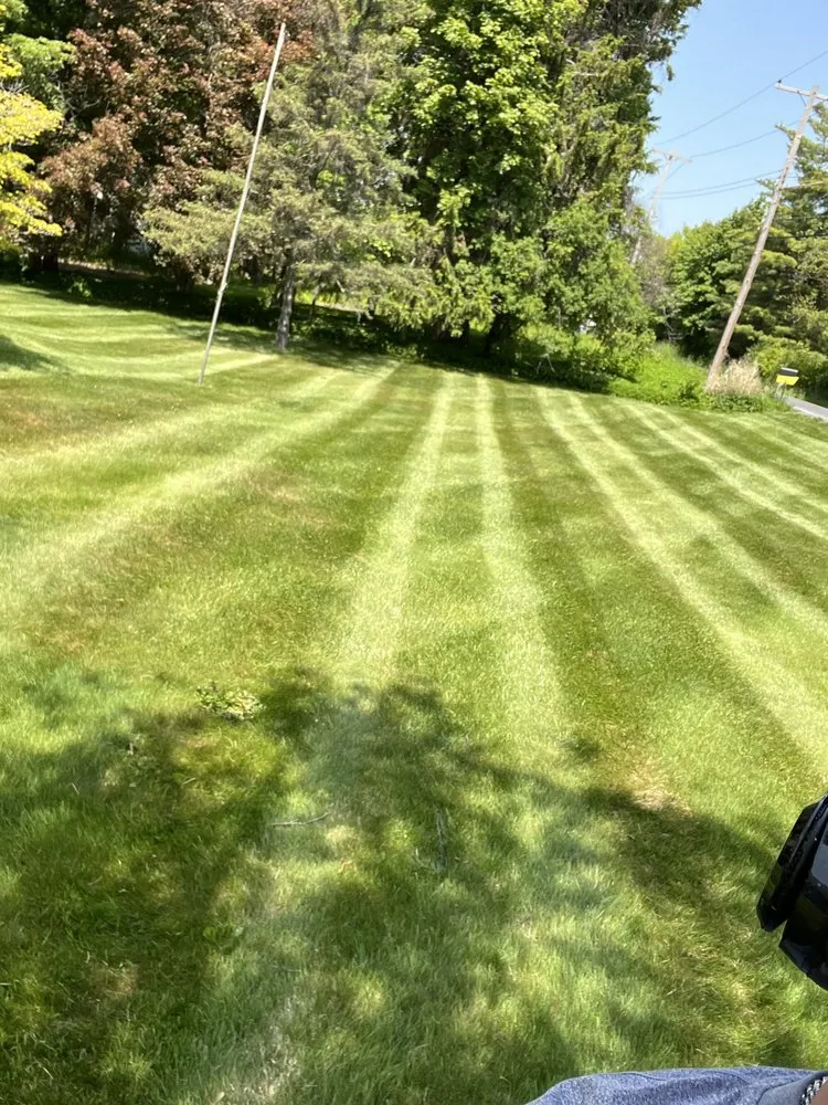 Local lawn care service in Auburn, NY - AMG Mowing