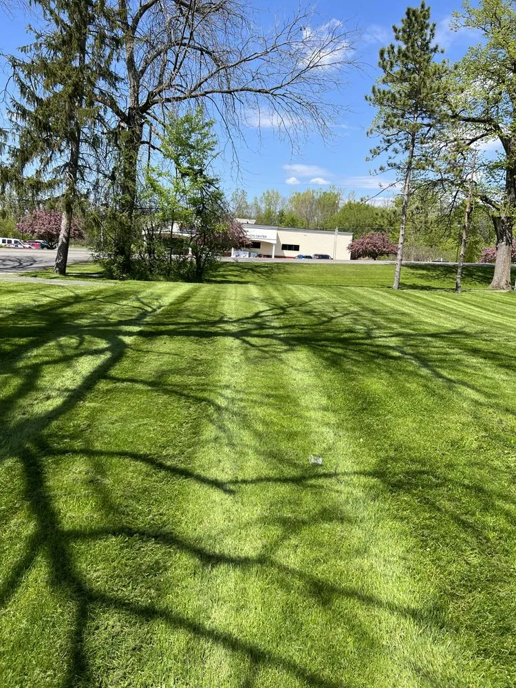 Custom yard cleanup service in Auburn, NY - AMG Mowing