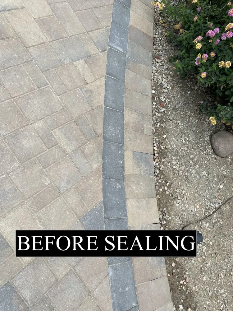 Trusted yard cleanup service in San Diego, CA - Amg Paver Services